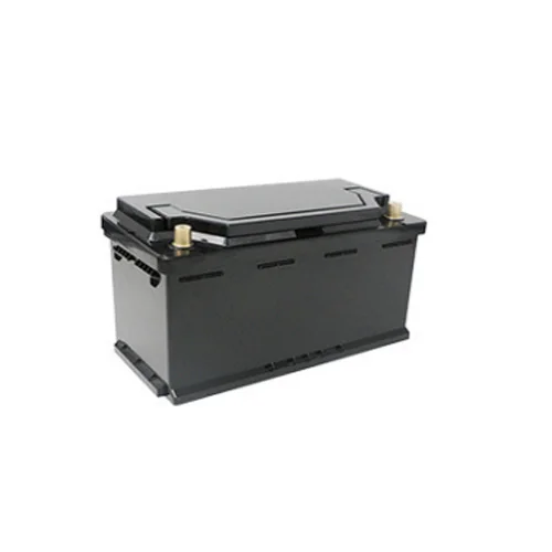Batteria al litio ferro fosfato LFP12 100